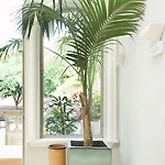 Esplendida Vila Costa Adeje (Tenerife)