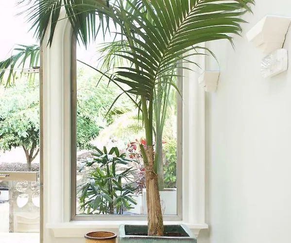 Espléndida Villa Costa Adeje (Tenerife)